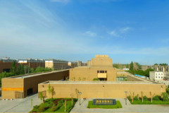 优选汇 从展览到展演——科身手术海潮语境下美