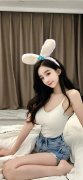 全员女子任振打算
